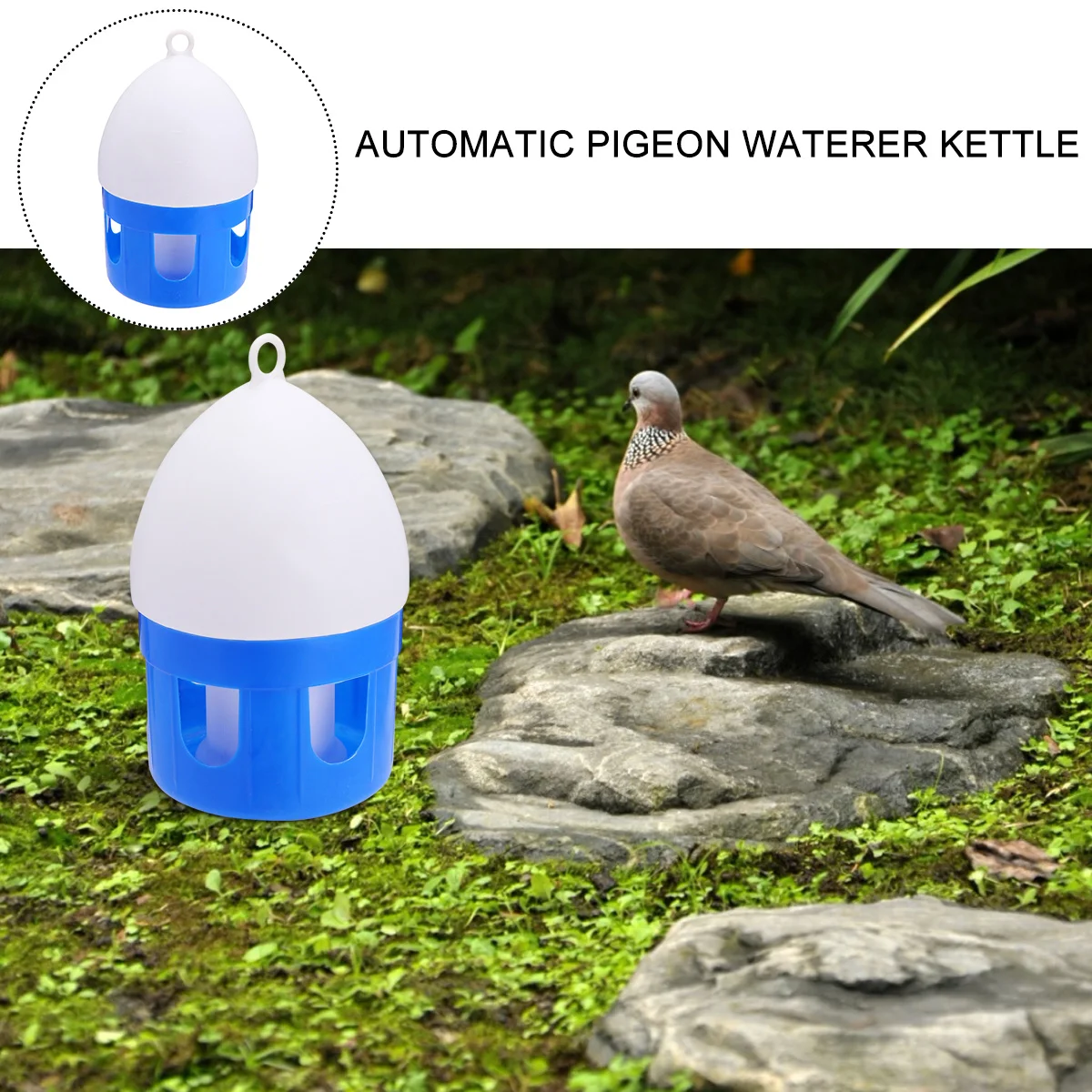 

Birds Water Feeder 4.5L Durable Creative Auto Drinkers for Pigeon Parrot Feeding Supplies Birds Water Feeder Bird Drinker