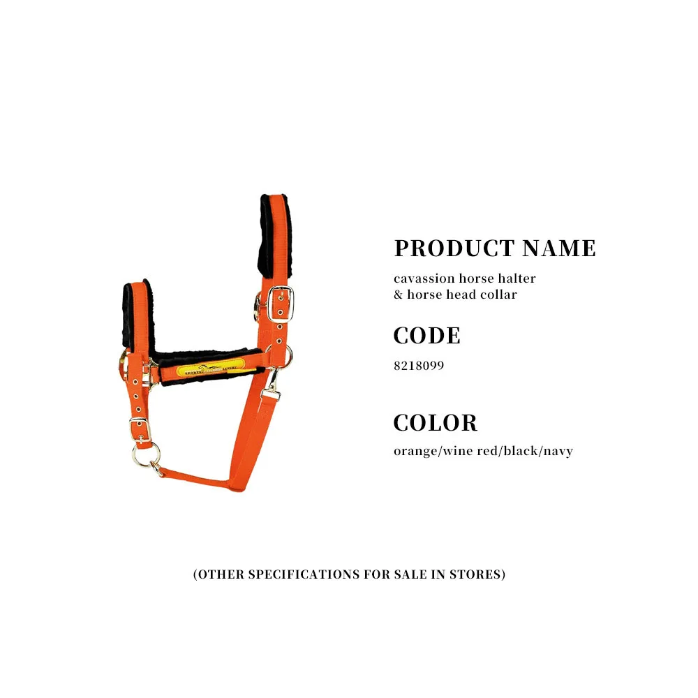 الرياضة الفروسية الرصاص طوق الرأس النايلون الحصان المنسوجات Bridle الفروسية الرياضة الحصان الرسن الرأس