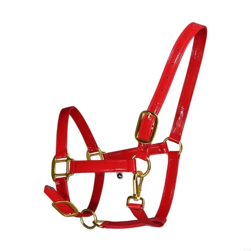 couvre-chef-cheval-en-a-mode-qualite-bride-cheval-avec-materiel-dore-conception-etanche-pour-une-utilisation