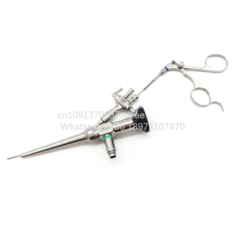 2026 New Professional Surgical Instrument . 2.7mm/4mm/5.5mm ENT Rigid Endoscope Otoscope With Working Channel And Forceps