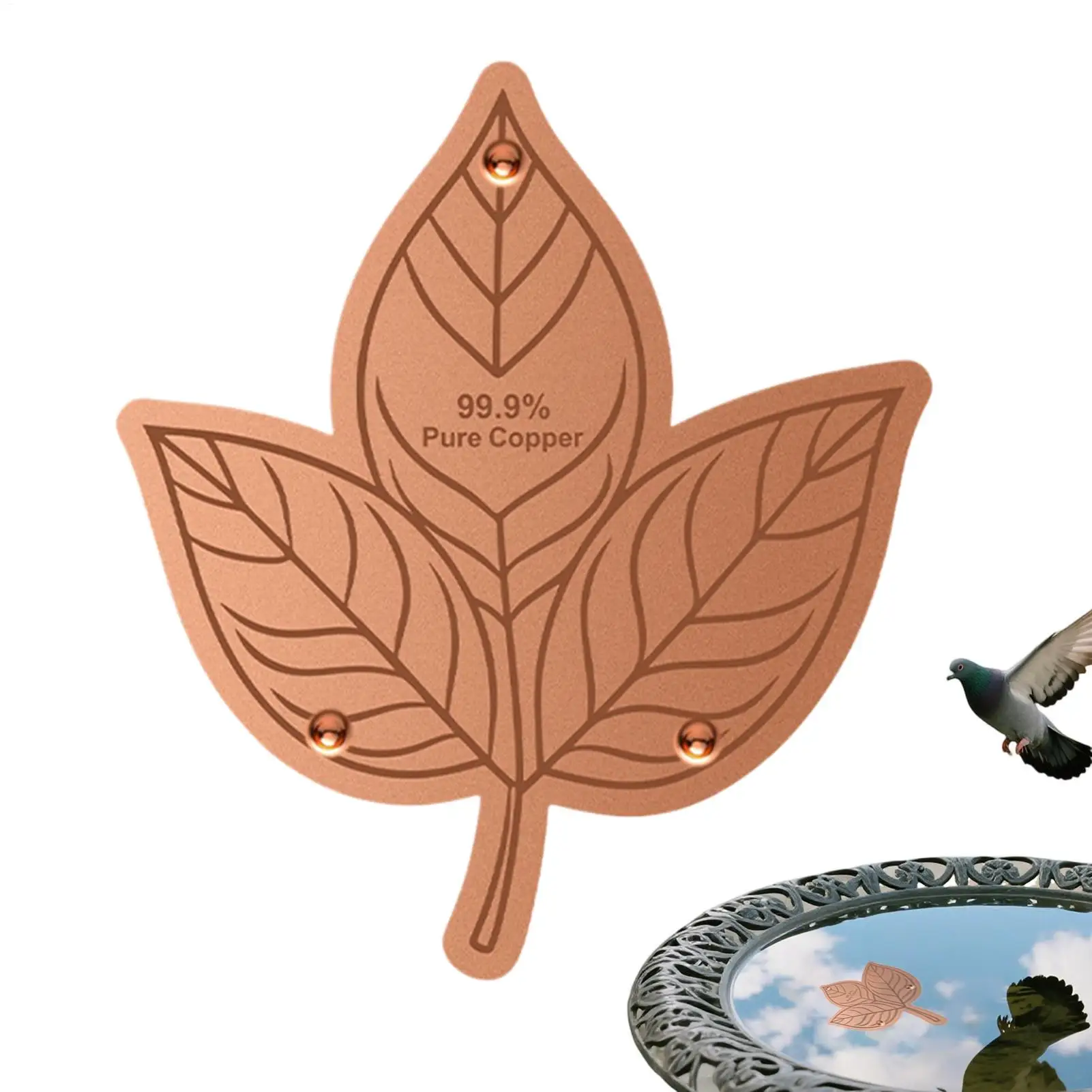 

Copper Bird Bath Disc All-Season Birdbath Cleaner With Triple-Point Support Copper Water Cleaning Discs For Outdoors Backyard
