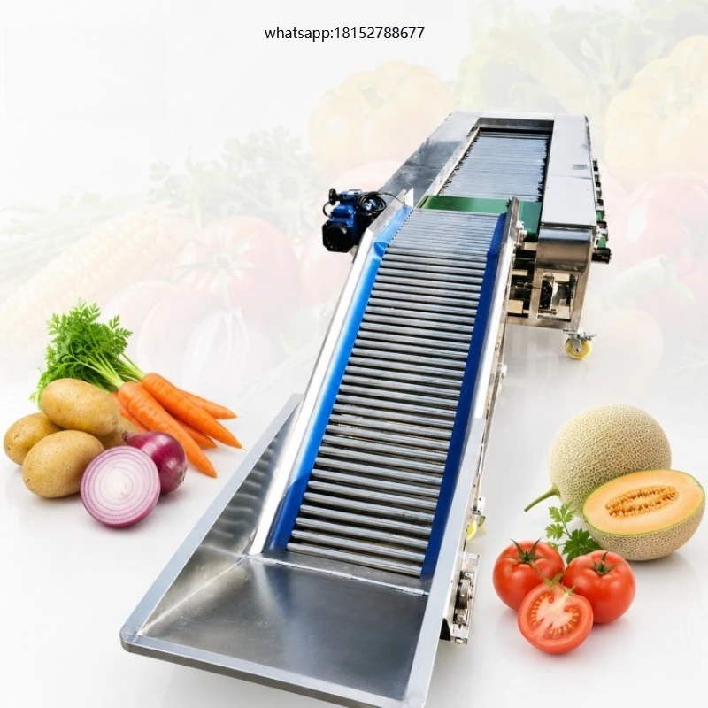 Automatic Coconut Strawberry Cherry Conveyor Belt Sorting Machine Vegetable Fruit Sorting Machine
