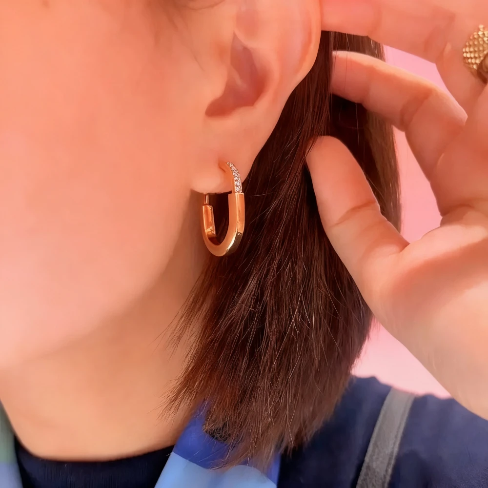 

2025 New Elegant accessories Allergy - resistant U - shaped Women's High - end Luxury Earrings, Ideal Wedding Anniversary Gif