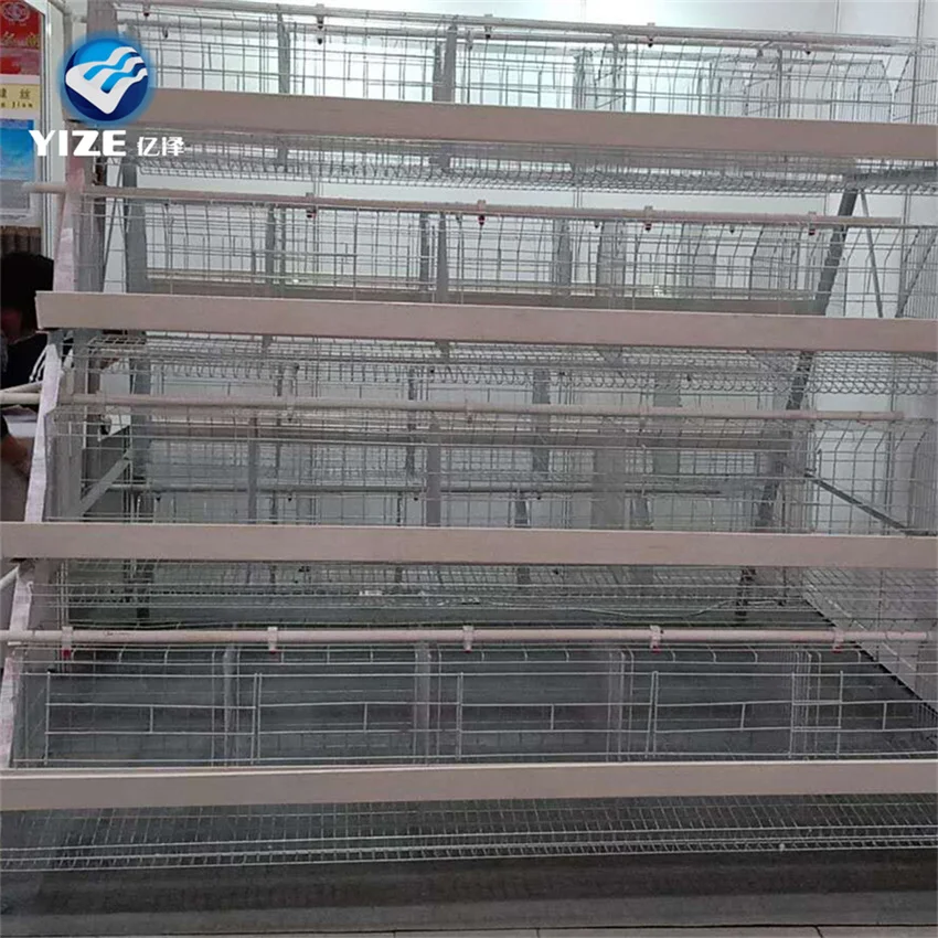 China Factory Automatic Chicken Coop Used/Automatic Equipment Poultry Algeria