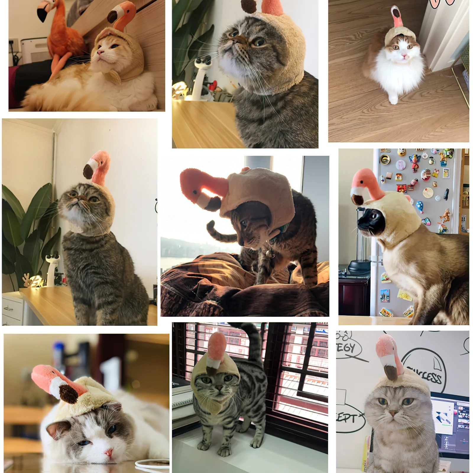 

Funny Pet Flamingo Headgear Cute Hat for Small Cats Dogs Party Birthday Daily Walk Costume Cat Cap Cat Cosplay Hat