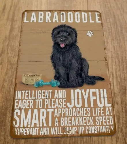 labradoodle