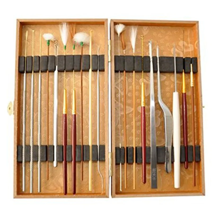 Set de Limpieza de Oídos Multifuncional, Herramienta para Remover Cera de Oídos, Kit de Belleza de 19 Piezas con Caja de Madera