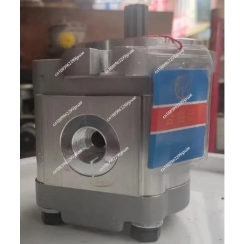 F306-AL Diameter 9 Hydraulic Gear Oil Pump Industrial Replacement Hydraulic Transfer Pump Spare Component