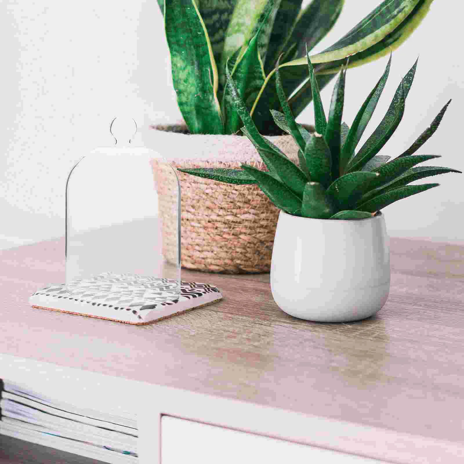 أحمر الشفاه الخالد زهرة الروائح غطاء الزجاج الأبدي قبة شفافة الجرار الزخرفية #6