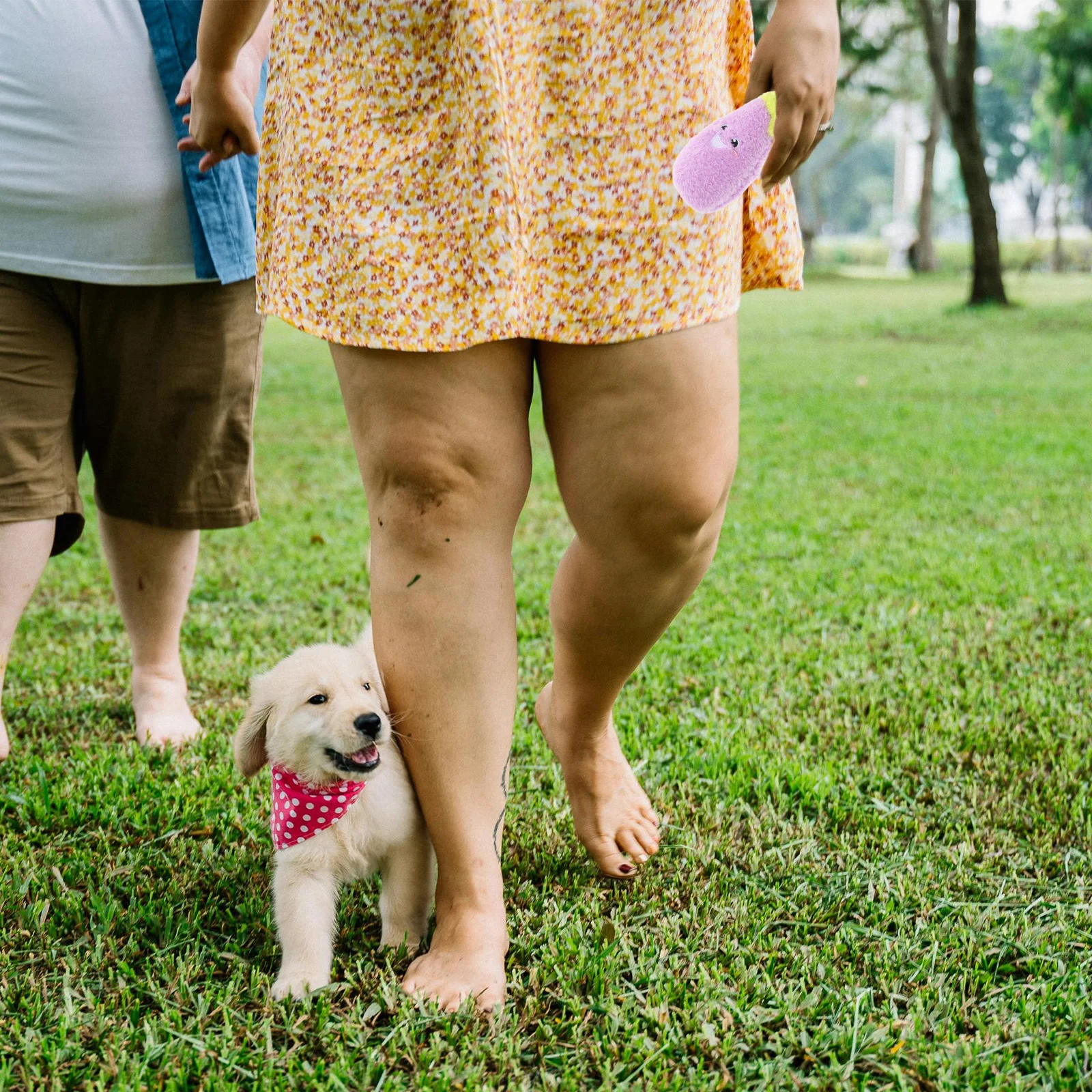 

1pcs Squeak Vegetable Themed Soft Dog Chew For Puppies Cats Durable Dog Interactive Sound Entertainment