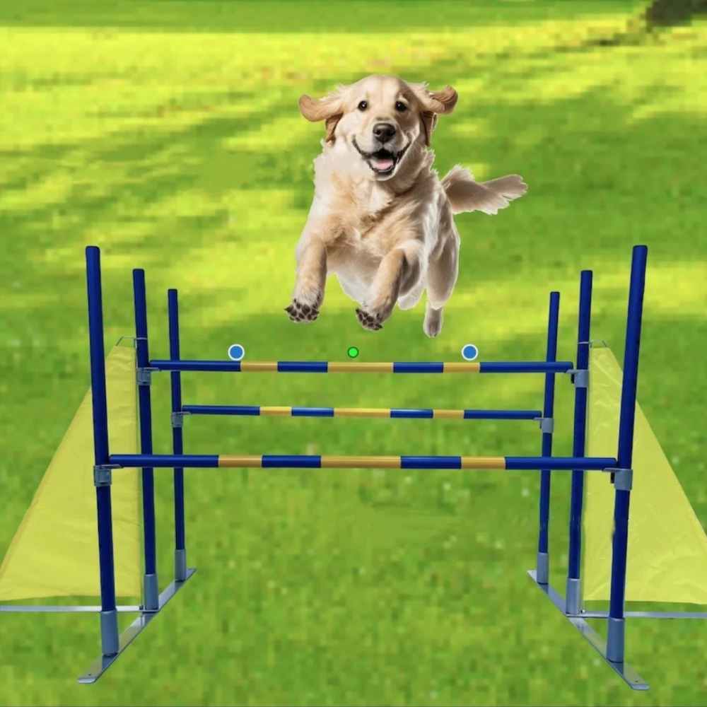 

FCI Pet Hurdlesinternational Agility Classdog Jump Bardog Jump Barcompetition Sports Dog Training Equipment Set Outdoor