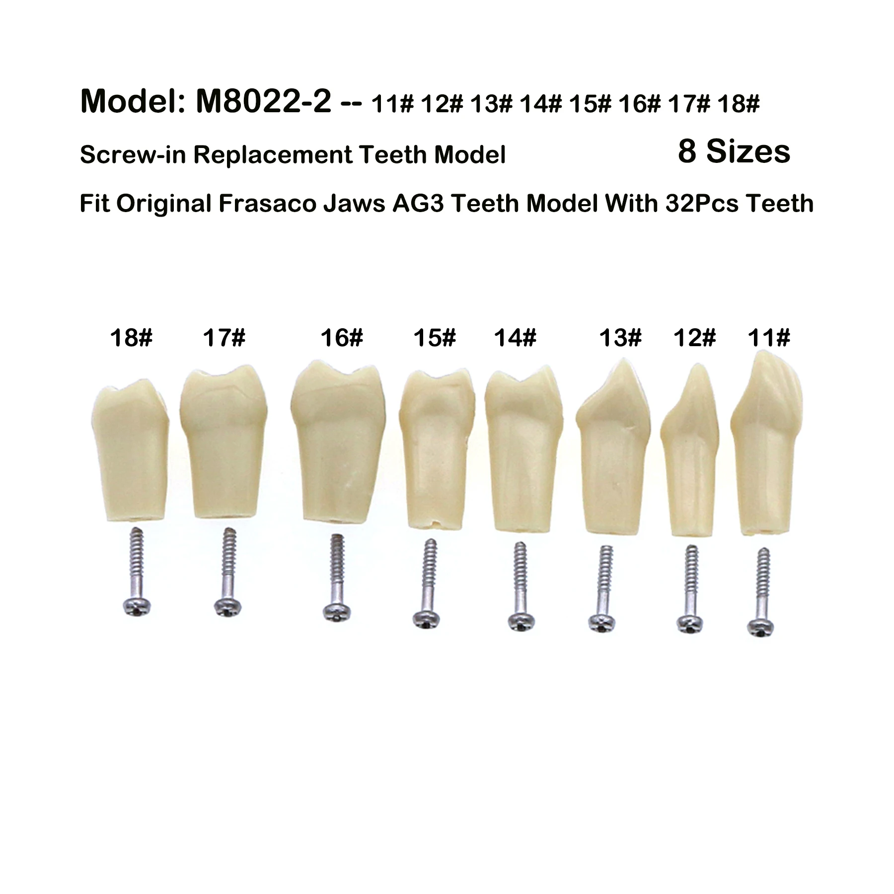 5 sztuk Frasaco szczęki AG3 oryginalny typ Fit wymiana modelu zębów dentystycznych wkręcane standardowe Typodont praktyka wypełnienie 11 # -18 #