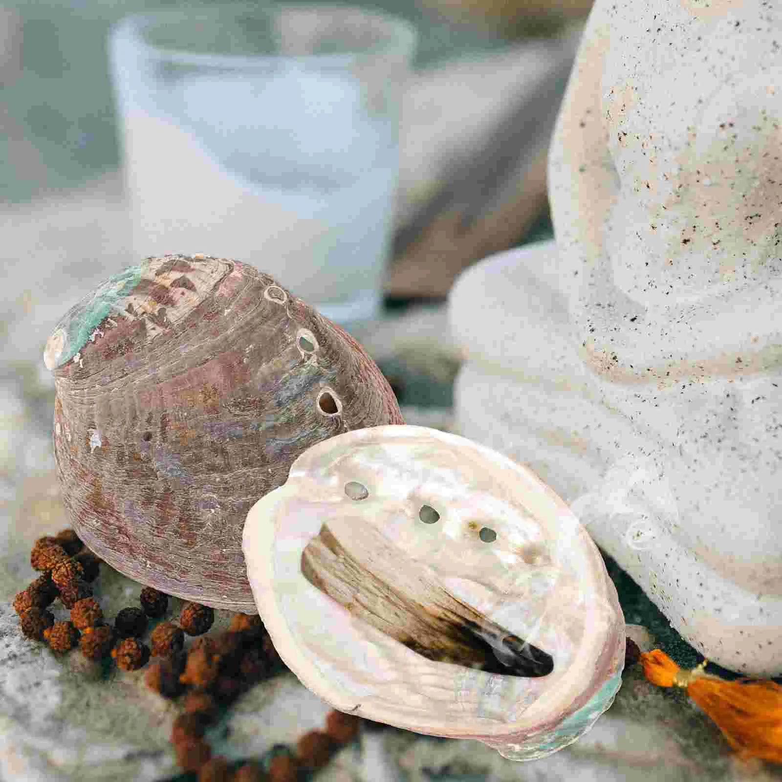 3 Pcs Natural Shell Abalone Decorative Ornaments Kit Smudging Charms Ocean Bowl Sink Tray Braid