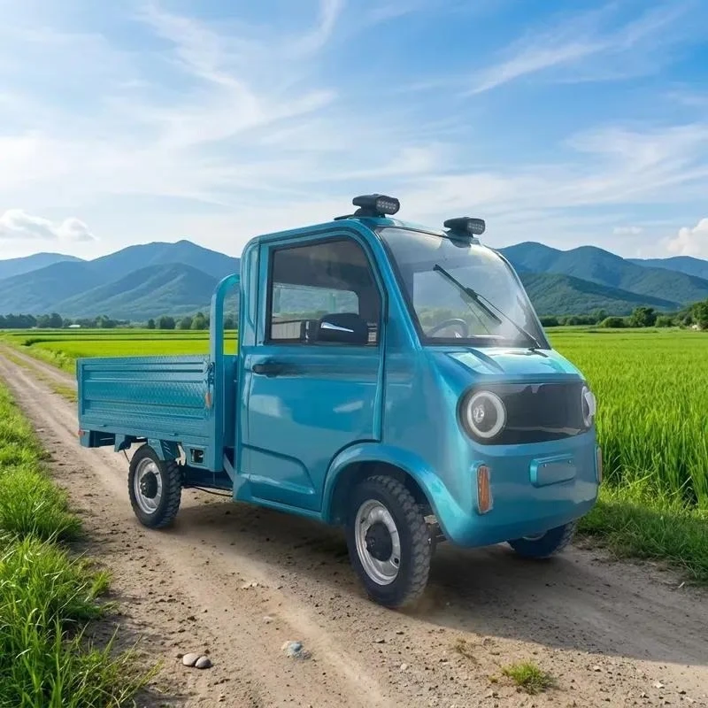 New energy electric scooter cargo passenger dual-purpose adult windproof and rainproof four-wheeler