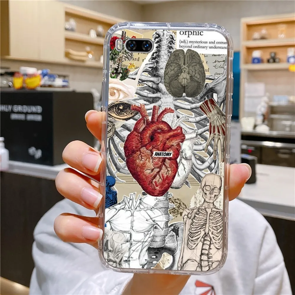 Medical Human Anatomy Phone Case For Huawei Mate P10 P20 P30 P40 P50 Smart Z Honor 50 60 70 Pro Lite Transparent Case