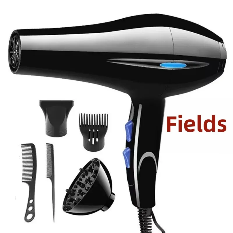 High Power Blu-Light Hair Dryer For Home Use Salon Quality Temperature Control Hair Protection Gift Item Professional Hairdryer