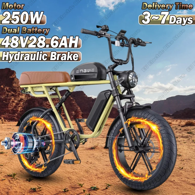 ENGWE M1 Electric Bicycle 250W Motor 48V28.6AH Dual Lithium Battery Hydraulic Brake E-bike 20*4.0-in Fat Tire Snow Electric-Bike