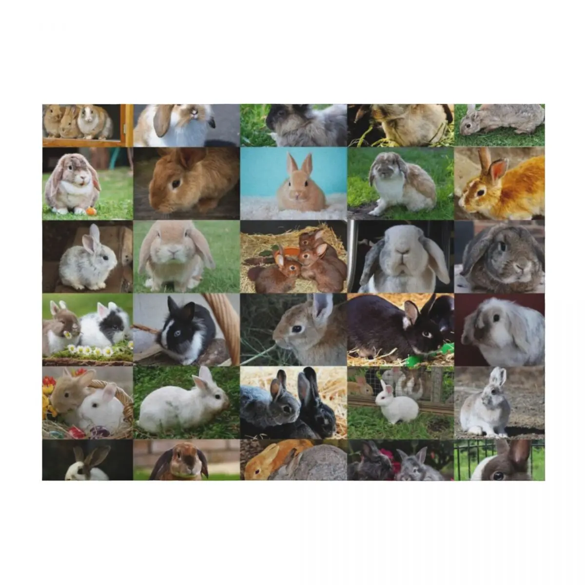 

Rabbits Throw Blanket Nap Decorative Sofas for sofa Sofas Blankets