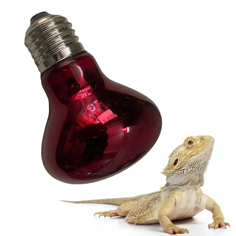 Bombilla de lámpara de calor para reptiles, foco infrarrojo de 25-100W, lámpara de calefacción roja para mascotas, lámpara de serpiente anfibia, bombillas de calor para reptiles