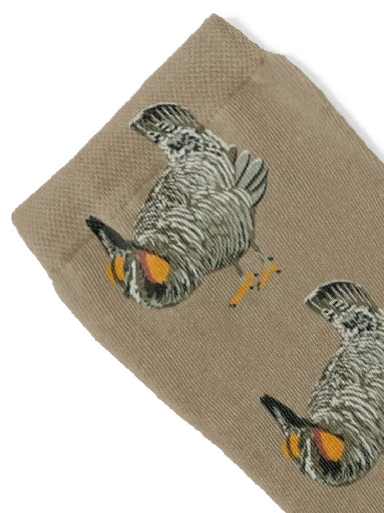 Prairie Chicken Portrait Socks Sports funny sock golf Socks For Girls Men's