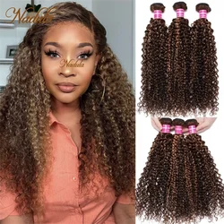 Nadula Hair #TL412 Blond Highlight Brazilian Curly Human Hair Weaves Brazilian Hair Body Wave Bundles Remy Hair Straight Hair