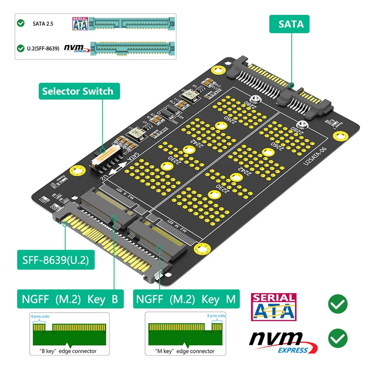 2 in 1 Combo M.2(NGFF) NVME PCI-E SSD to U.2 SFF-8639 & M.2( NGFF) SATA SSD to SATA Adapter