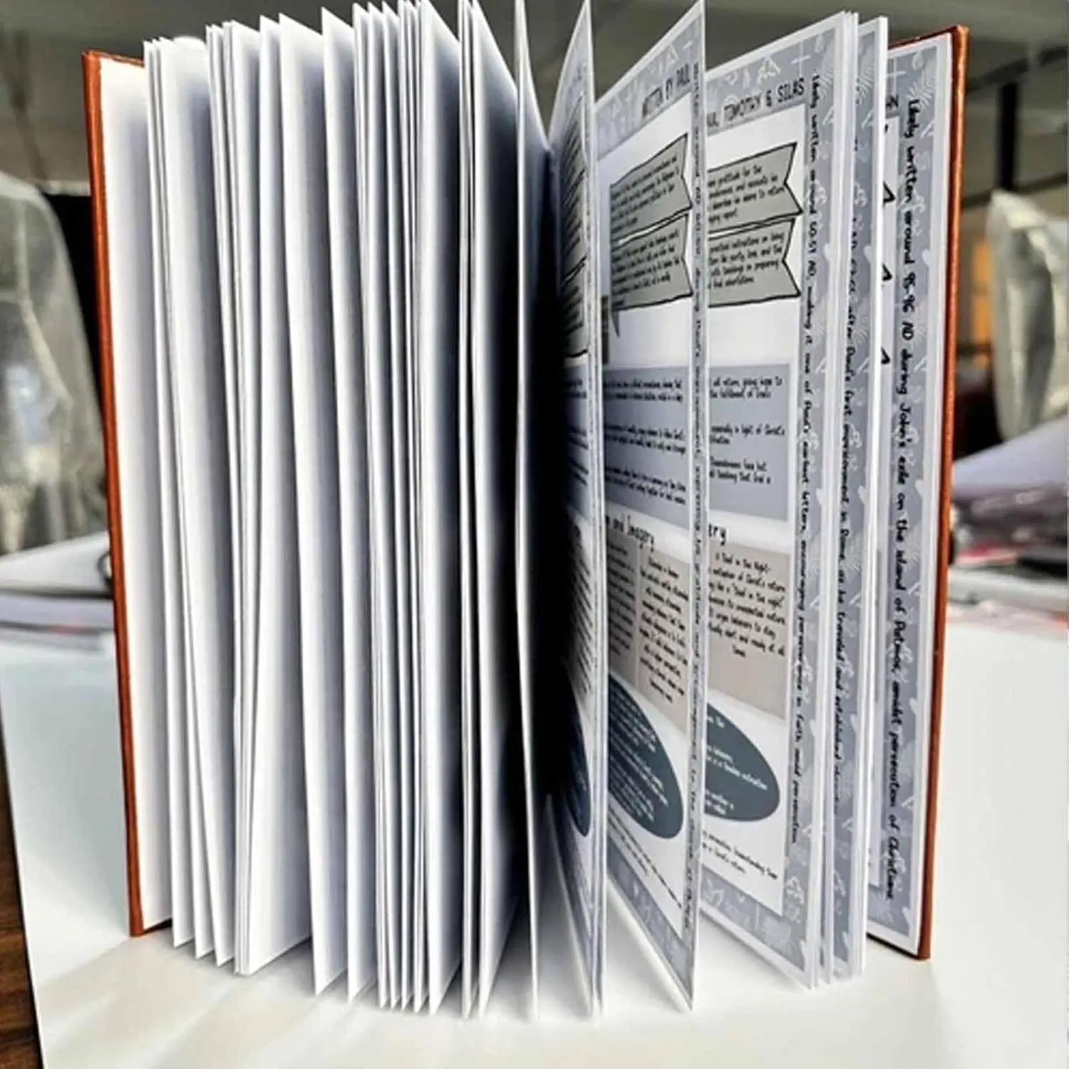 Guida allo studio biblico da 66 pagine Diario devozionale quotidiano Un piano di studio della Bibbia di lungo anno per le donne Citazioni delle scritture Taccuino religioso