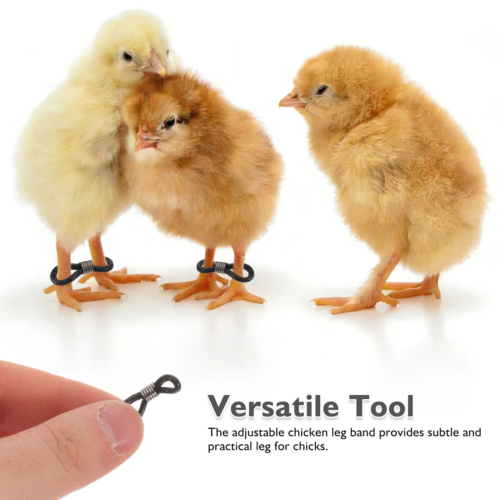 200Pcs Chicken Leg Correction Bands Adjustable Black Silicone Splay Leg Fixer for Baby Chick Duck Poultry Rehabilitation Care view 3