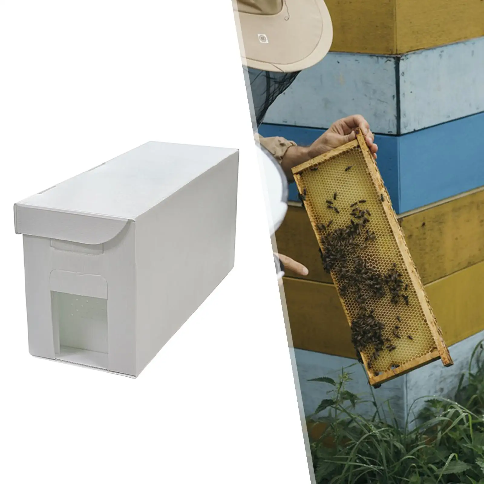 Bee Rearing Cage Beekeeping Tools Bee Copulation Box Cultivating Box Mini Hives Beehive Stand Durable Material Bee Mating Hives