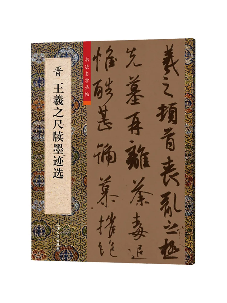 

Book-Winshare Selected Ink Inscriptions From the Ruler Slips Of King Xizhi