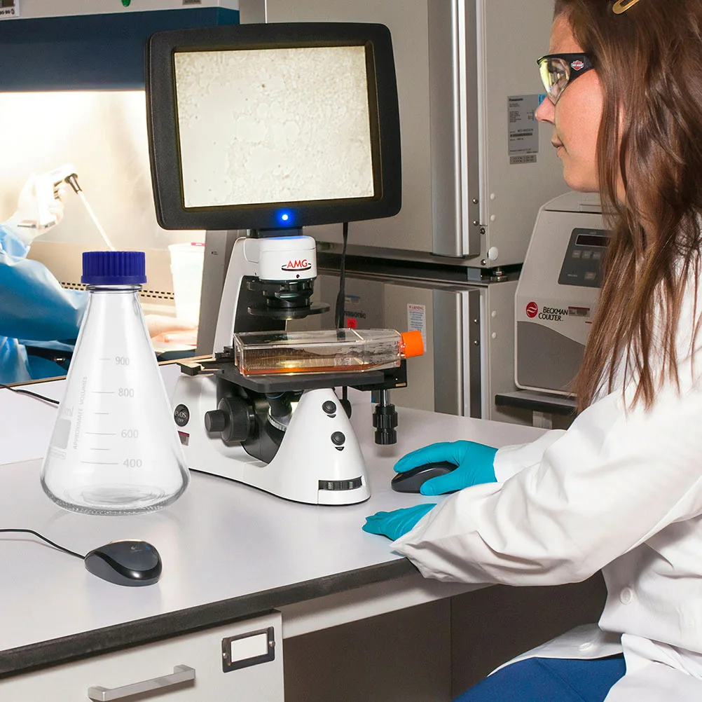 botellas-de-reactivo-de-laboratorio-matraces-conicos-de-vidrio-de-1000ml-escala-transparente-para-una-medicion-precisa-ideal-para-la-ciencia-educativa-2-uds
