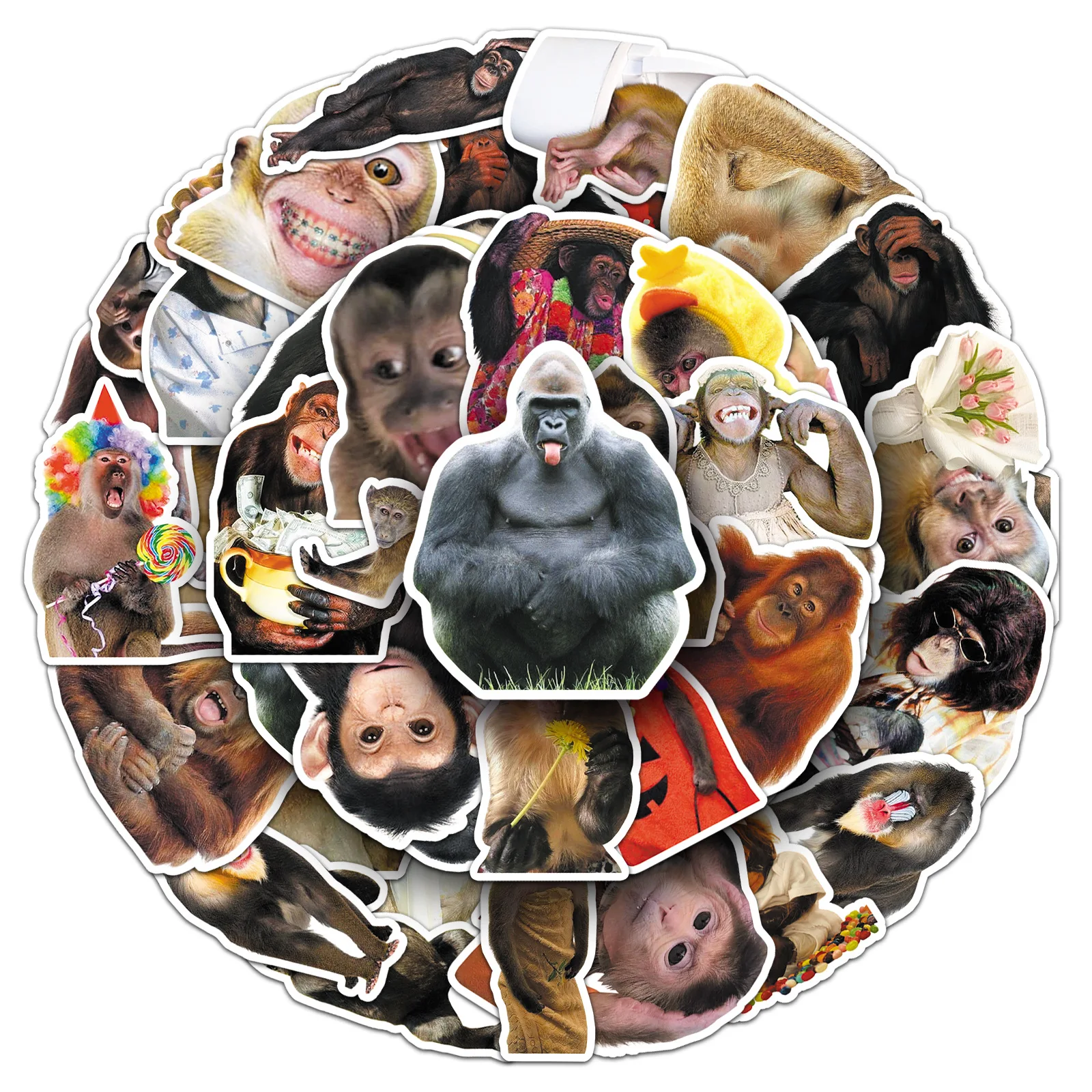 50 STKS Grappige Aap MEME Stickers Orang-oetan Graffiti Decoratieve Laptop Water Cup Telefoon Case iPad Waterdichte Stickers Kinderen Speelgoed