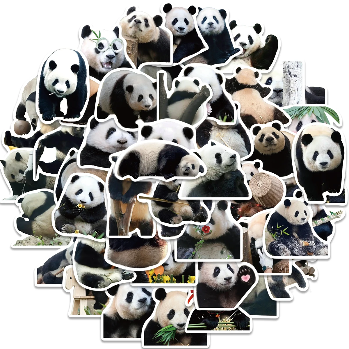 50PCS Cute Panda Cartoon Animals Graffiti Stickers DIY Phone Guitar Laptop Notebook Suitcase Cup Waterproof Sticker Kids Toy