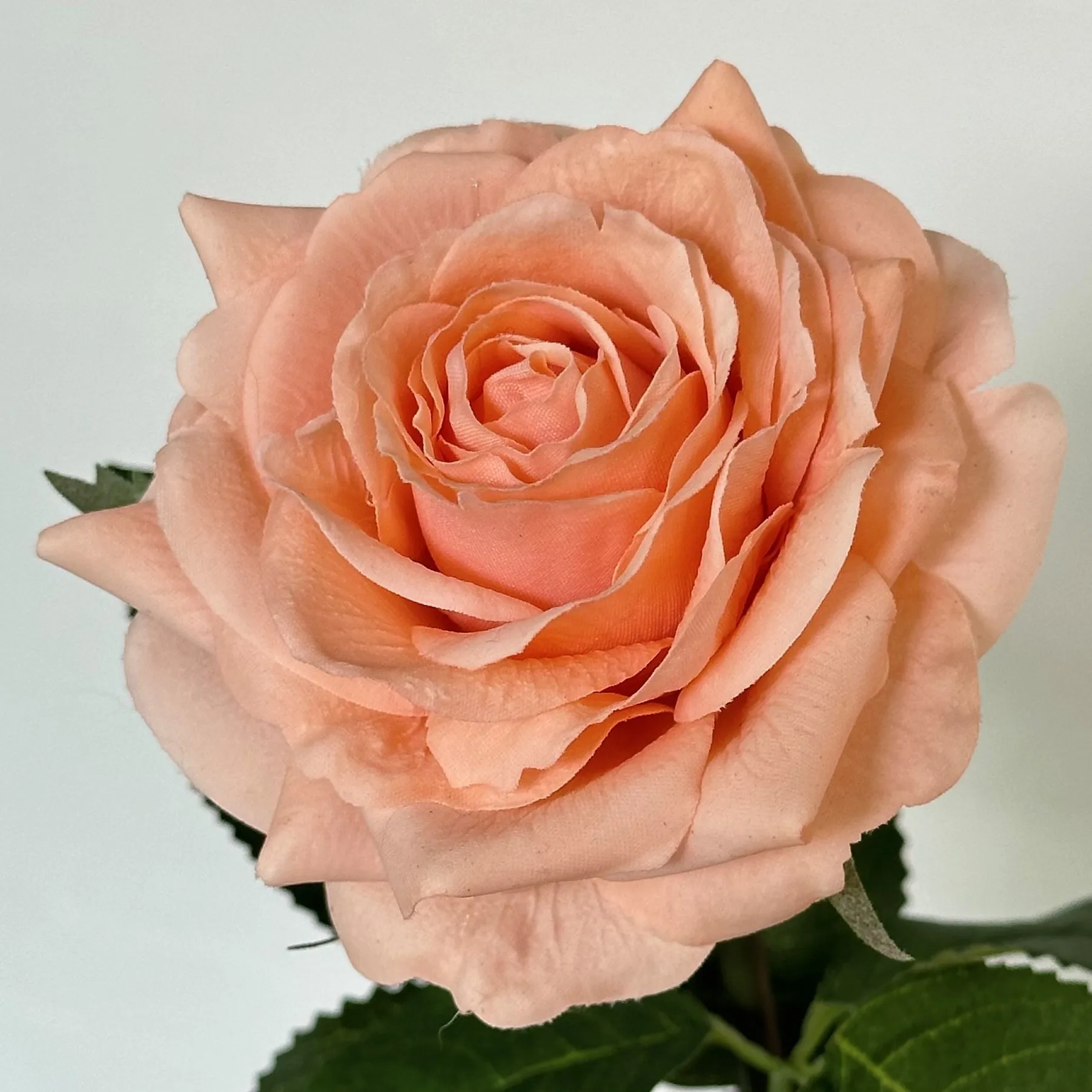 5 Stück Feuchtigkeitsspendende Rosen mit Echtem Touch, Künstliche Blumen für Hochzeitsdekoration, Brautstrauß, Kunstrosen für Party, Heim- und Tischdekoration – Detail 5