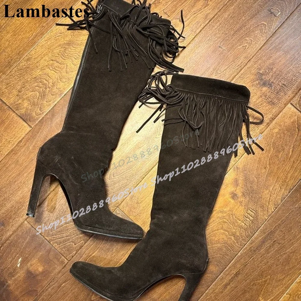 

Knee High Black Suede Fringe Boots Stilettos High Heel Shoes For Women Back Zipper Pointed Toe Casual Trending Women Boots
