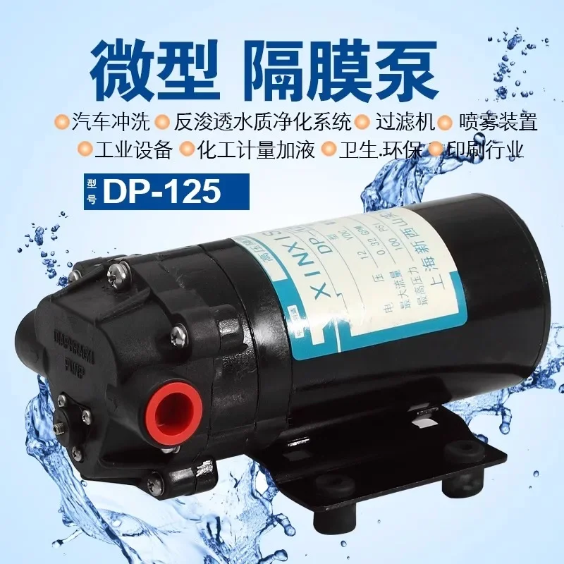 DP-125 diaphragm pump industrial cleaning machine booster pump RO membrane engineering rubber plastic high-pressure pump