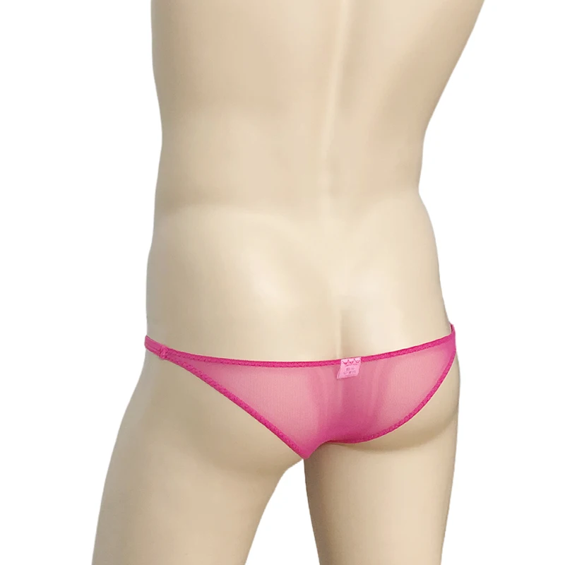 Mens Briefs Net Transparent Mesh Low Waist Underwear G-strings Sexy Bikini Trunks Breathable Sexual Thongs for Boys Mens