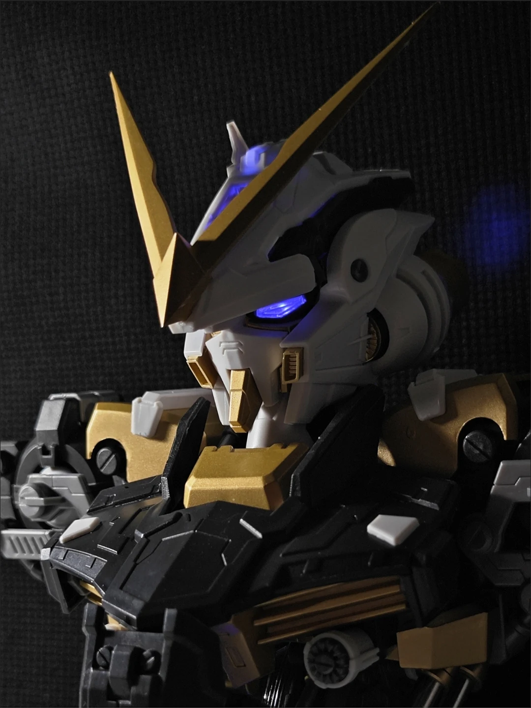

Новая сборная модель Bandai 1/35: Сундук Золотого Еретика (специальное издание, металлический цвет)