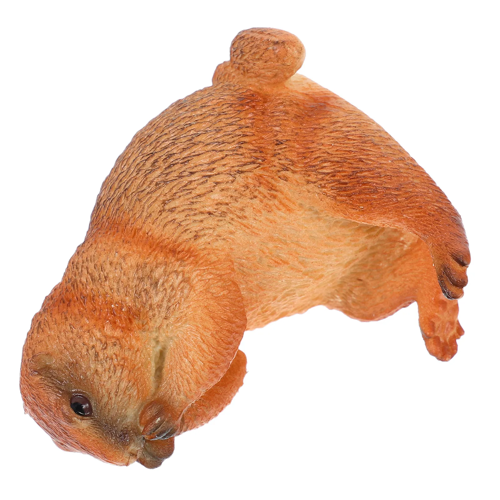 

Realistic Groundhog Simulation Wild Animal PVC for Home School Kindergarten Learning Decorative Lifelike Groundhog Sculpture