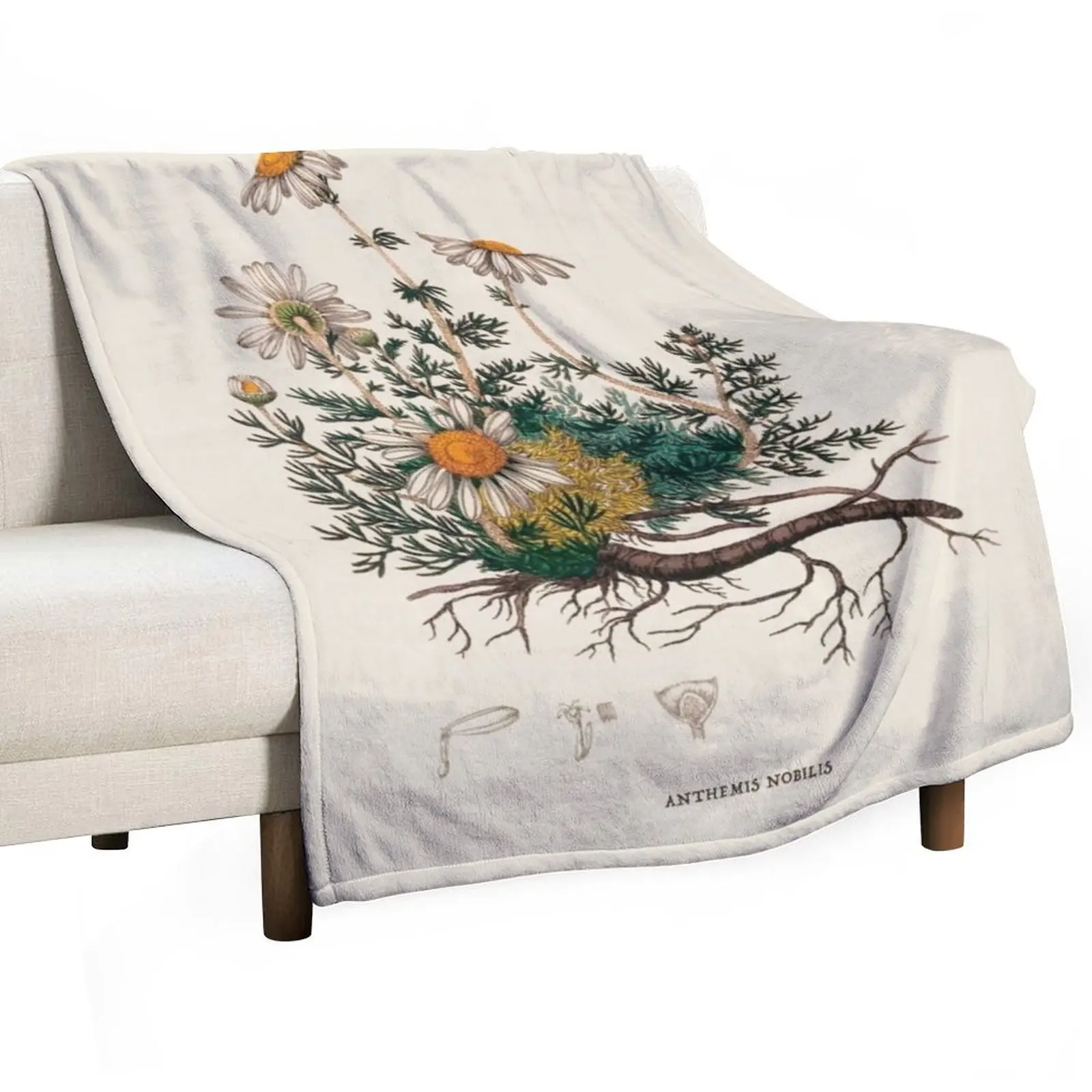 Camomile Antique Botanical Illustration Throw Blanket anime Extra Large Throw Thin Blankets