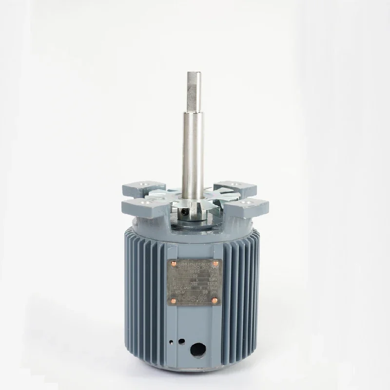 High Temperature Resistant Asynchronous Motor