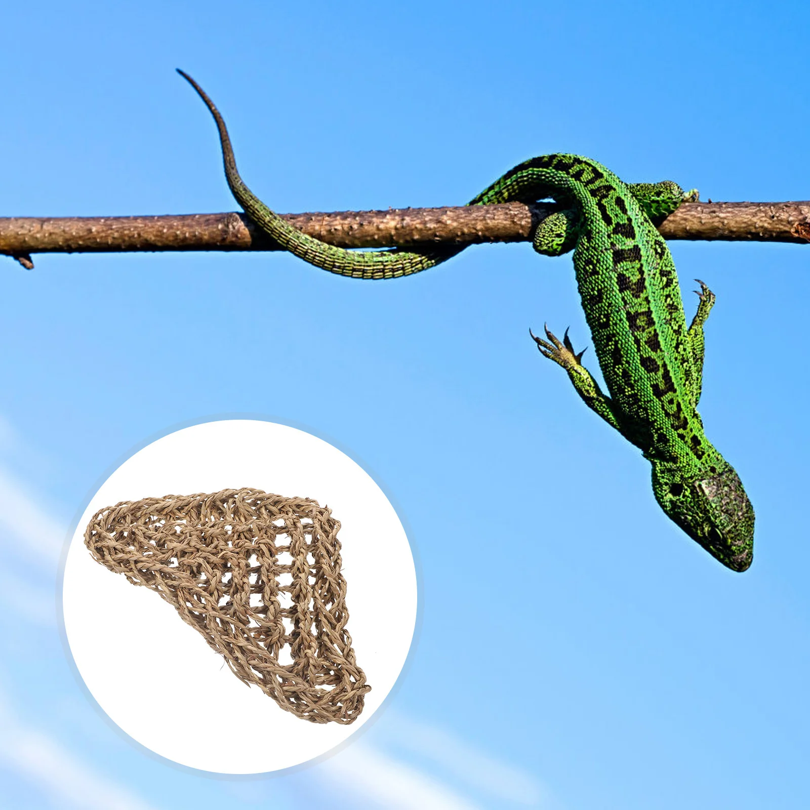 

1 Set Grass Woven Reptile Hammock For Lizards Snakes Anoles Bearded Dragons Pet Hanging Bed Reptile Cage Sleeping Play Accessory