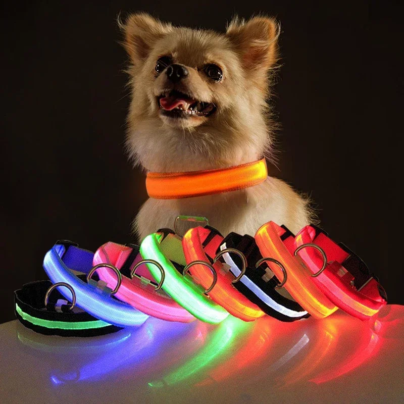 Collar LED con carga USB para perro, luz nocturna de seguridad, Collar intermitente, collares fluorescentes, suministros para mascotas