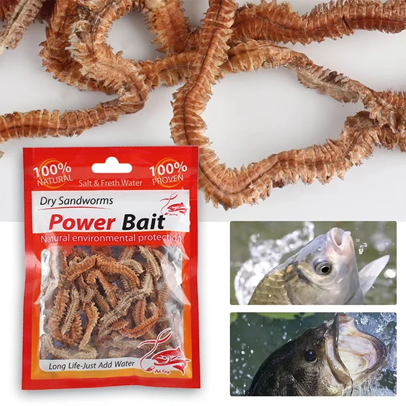 Señuelos de pesca de gusanos de arena secos, alimentador de agua dulce y salada realista, gusanos de pesca de mar, accesorios de cebo Artificial suave con olor
