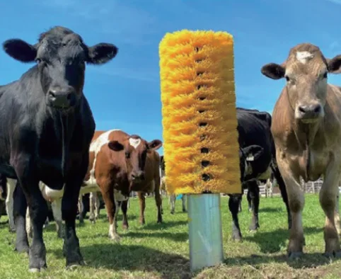 livestock products horse cleaning brush machine, cattle/cow body automatic brush