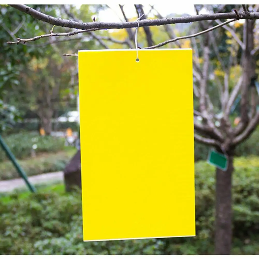 10/20/50/100pcs Hot Lot Pest Control Wasp Sticky Glue paper Insect Killer Insect Trap Catcher Yellow