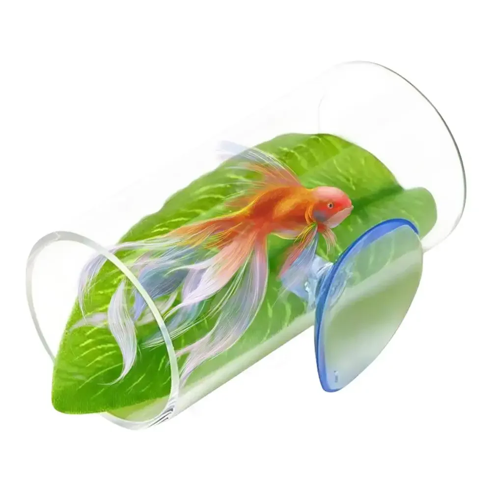 1 adet Akvaryum Betta Balık Ak - Live Plant Aquarium incelemesi ve fiyatı