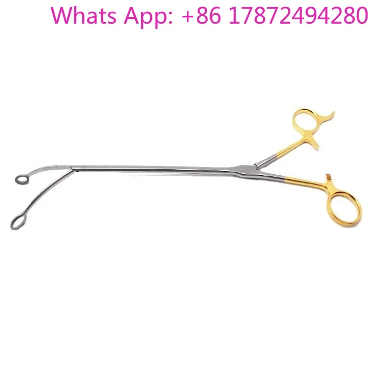 Medical Endoscopic Double-Jointed Ovum Forceps, Oval Forceps