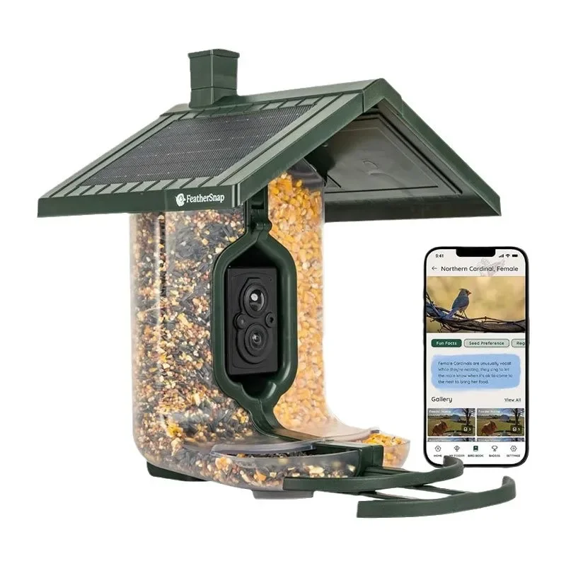 Bird watching high definition camera intelligent feeder bird watching outdoor