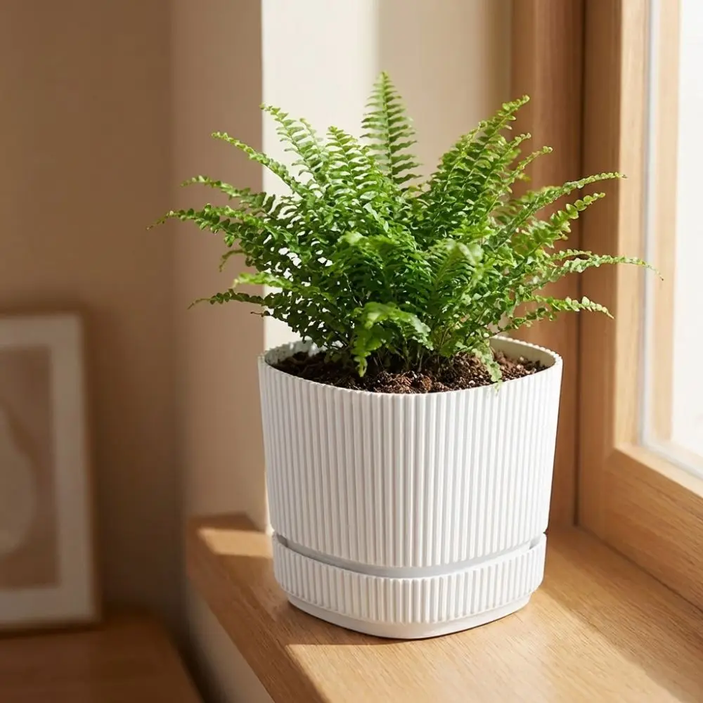 Plastic Self Watering Flower Pot Drainage Hole Double Layer Lazy Plant Pot Thickened Self Watering Self Watering Planter Desktop